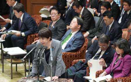 Lower House passes emergency ¥8.56 trillion stopgap budget