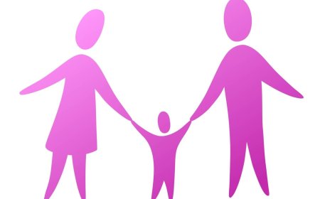 Japan rolls out new joint custody system