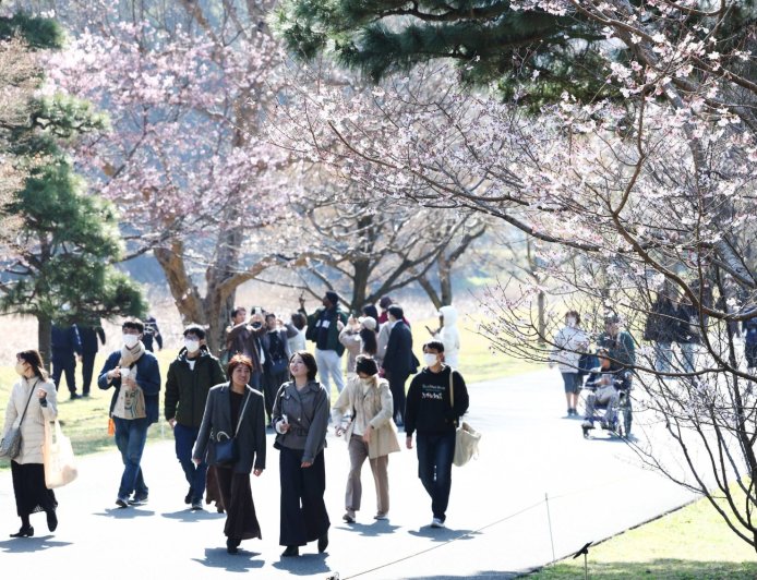Imperial Palace street opened to public for spring season