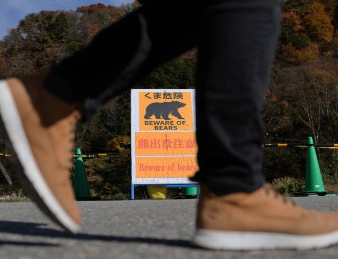 Spring reawakens concerns over bear encounters in Japan
