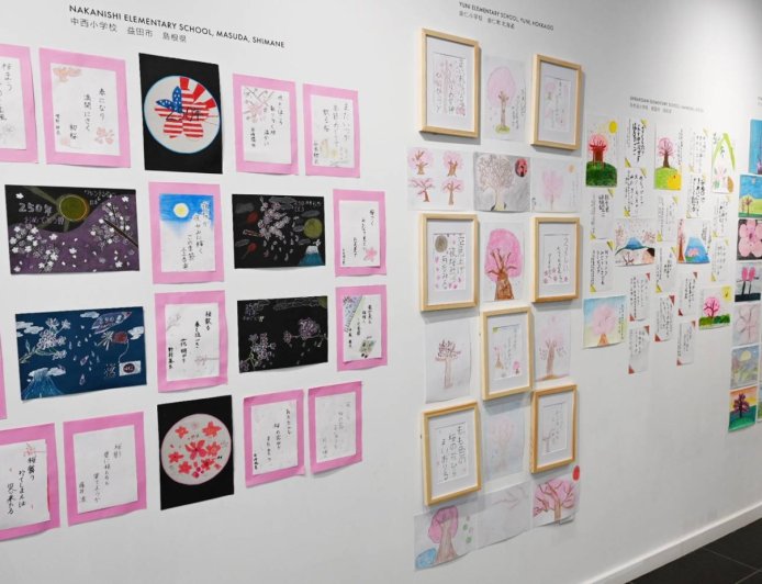 Cherry blossom haiku and art by Japanese and U.S. children on show in Washington