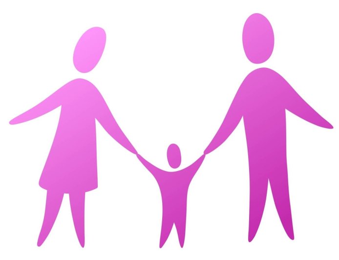 Japan rolls out new joint custody system