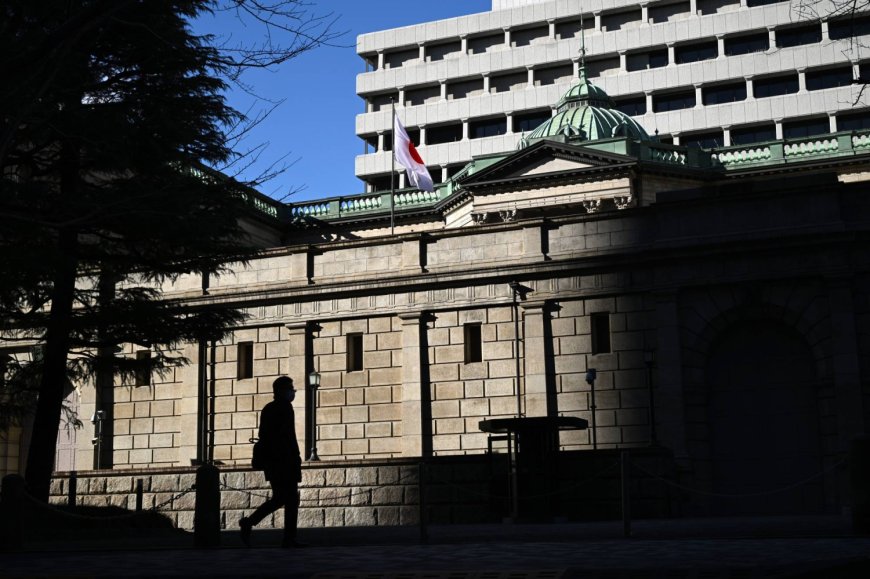 Japan Lower House OKs two reflationists as BOJ policymakers