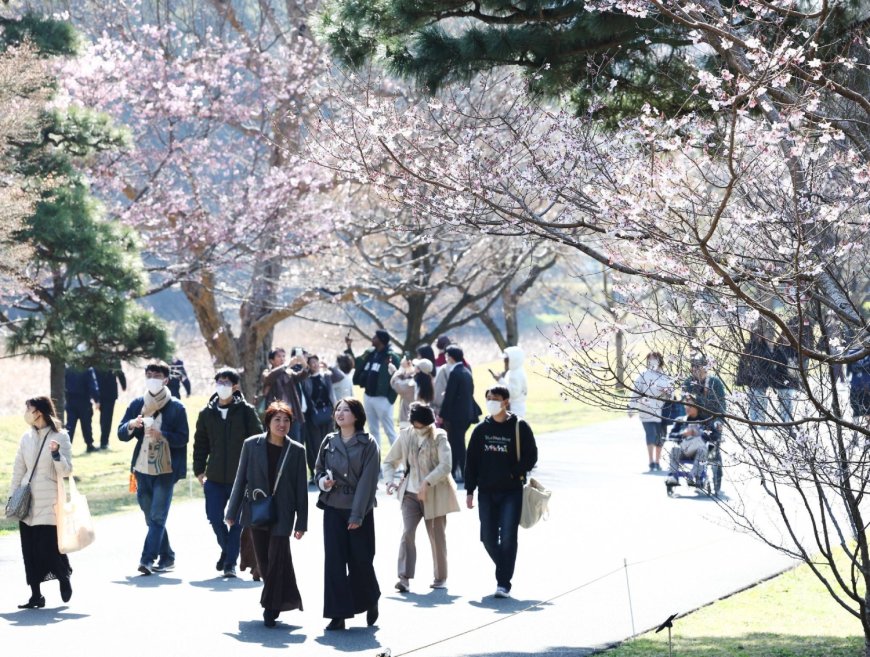 Imperial Palace street opened to public for spring season