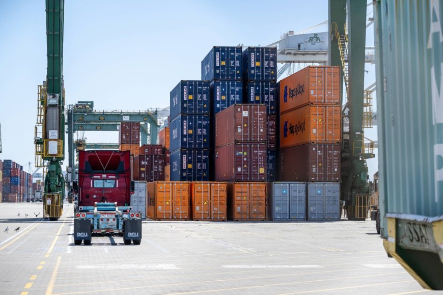 Activists target Japan’s shipping stocks on rising vessel prices