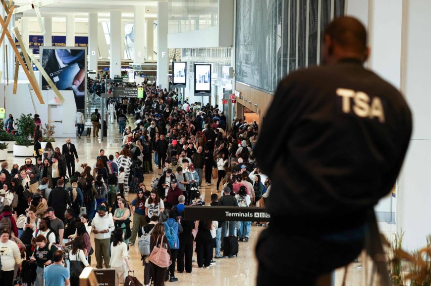 Staff absences soar at some U.S. airports as ICE agents prepare to screen travelers