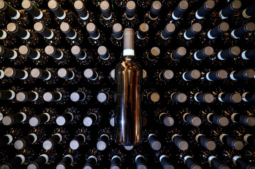 From Indian movies to Italian wine, Trump’s war on Iran to cause pain worldwide