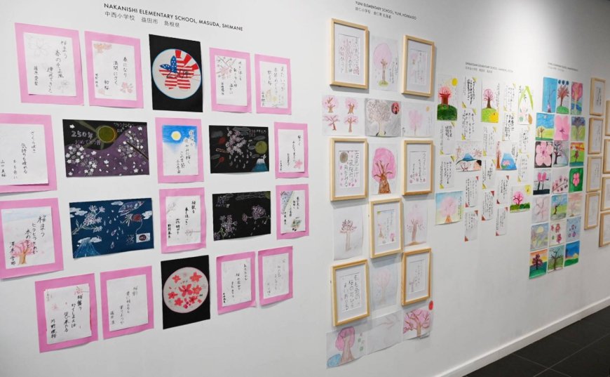 Cherry blossom haiku and art by Japanese and U.S. children on show in Washington