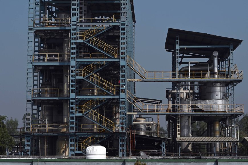 India's ethanol producers feel the pinch of success