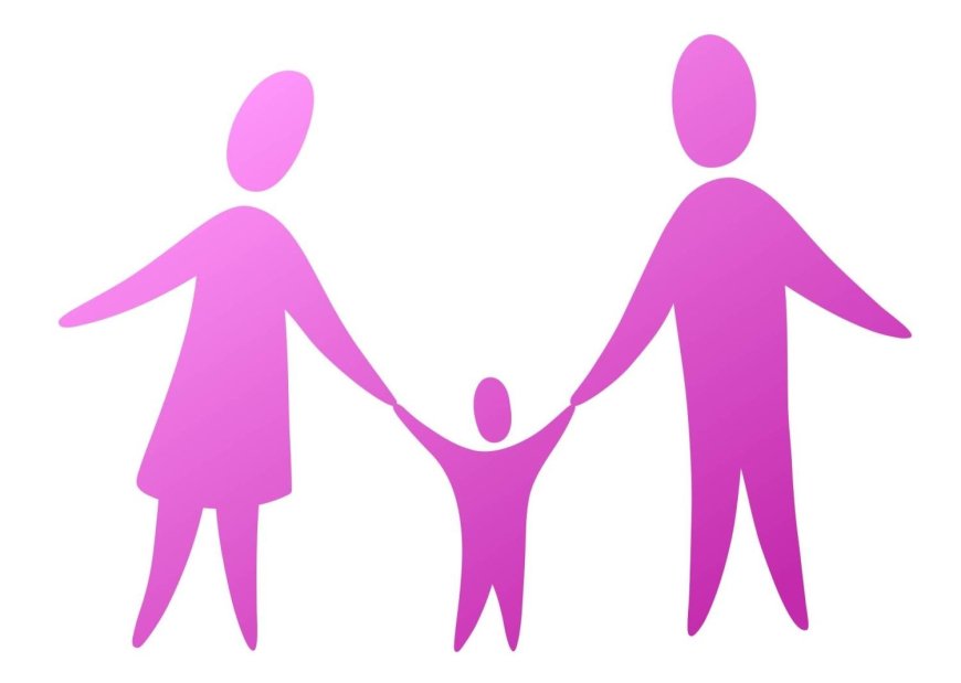 Japan rolls out new joint custody system