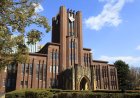Panel blasts University of Tokyo over corruption scandals