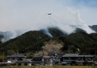 Iwate wildfire starting to be brought under control, authorities say