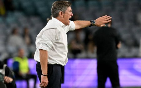 Culture clash spelt shock end for Japan women's first foreign coach