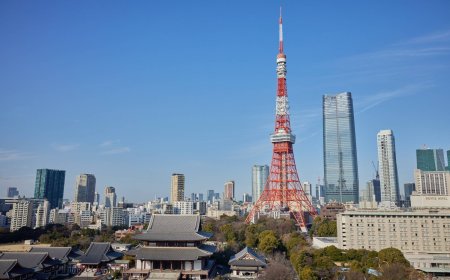 Japan M&A momentum to persist, Alvarez & Marsal’s Aversano says