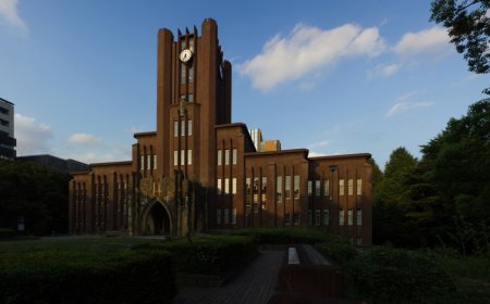 Internal University of Tokyo probe finds at least 21 cases of ethics violations