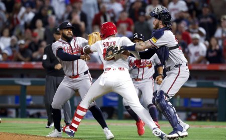 Braves' Lopez and Angels' Soler ejected after fight