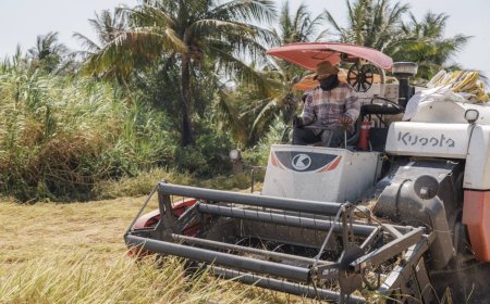 Fuel shortages from Iran war threaten Asia’s biggest food staple