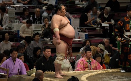 Chiyomaru’s next act shines light on sumo’s unsung roles