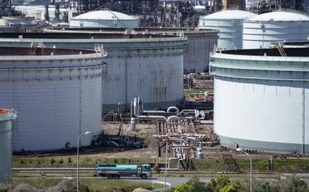 Japanese government urges suppliers not to hold back critical materials from the market