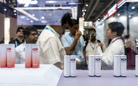 Cheap batteries are taking over the world’s power grids