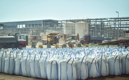 Delicate extraction: Malaysia offers rare earths alternative to China