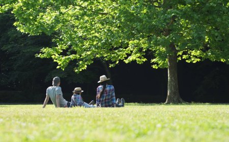 Average Golden Week holiday budget falls to ¥27,660