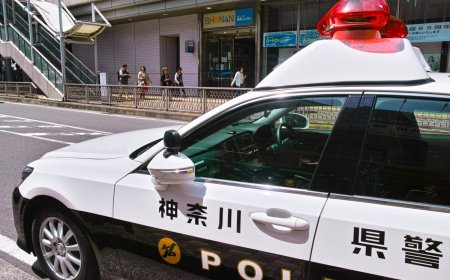 Two ex-convicts arrested over Yokohama home invasion robbery