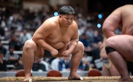 Professional sumo awaits three potential new stars