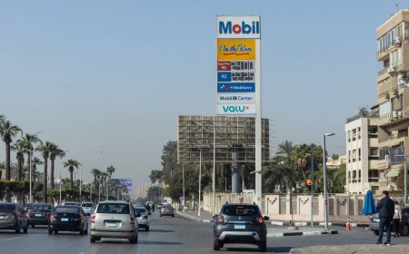 Nissan to ramp up Egypt carmaking in bid to boost Africa sales