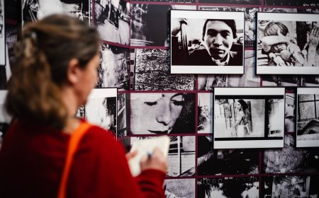 Kyotographie's Daido Moriyama retrospective resonates in an age of endless images