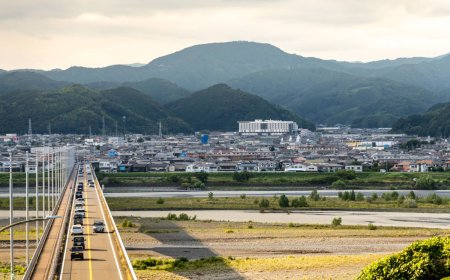 Record 8,196 in Japan serve as 'community reactivators'