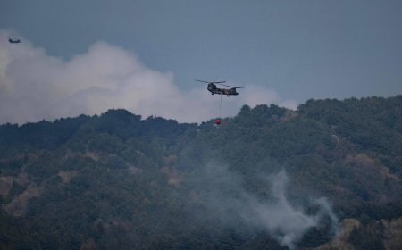 Over 3,200 forced to evacuate as crews battle Iwate wildfires