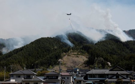 Iwate wildfire starting to be brought under control, authorities say