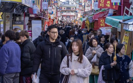 Foreign business owners in Japan feeling the strain of tighter visa criteria