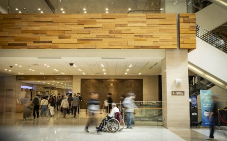 ‘They said AI saved me’: How South Korea is checking on its older adults