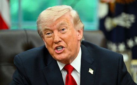 Tokyo seeks Trump stopover in mid-May China trip