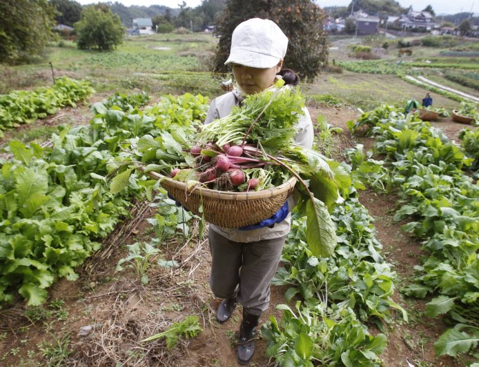 In Japan, strong state-led certification key to boosting organic food uptake