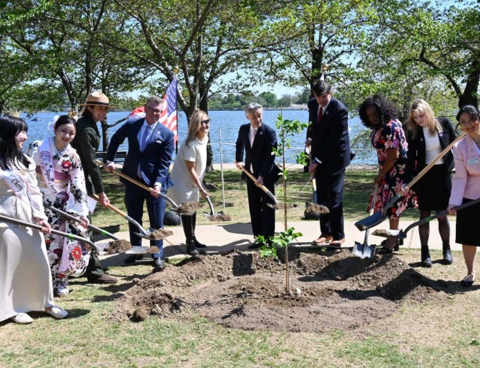 Japan gifts 250 cherry trees to U.S. to mark 250th birthday