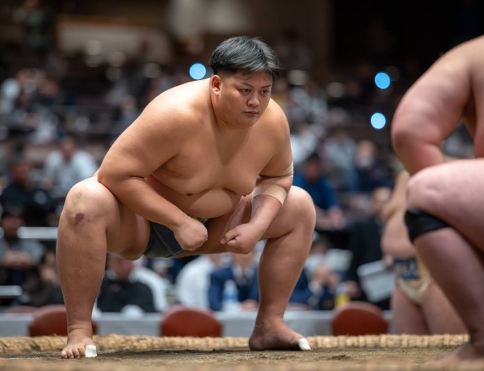 Professional sumo awaits three potential new stars