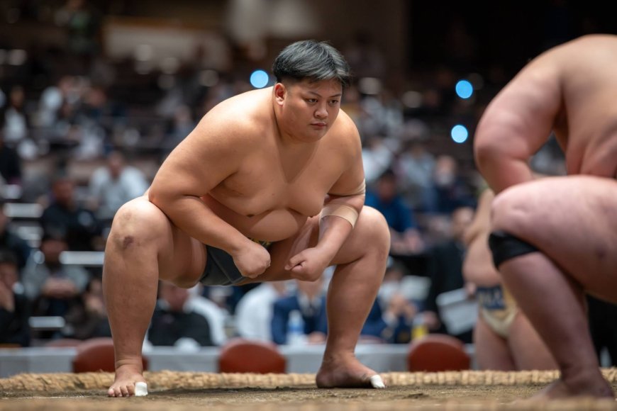 Professional sumo awaits three potential new stars
