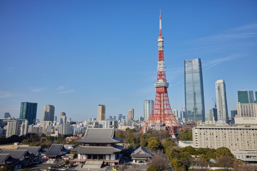 Japan M&A momentum to persist, Alvarez & Marsal’s Aversano says