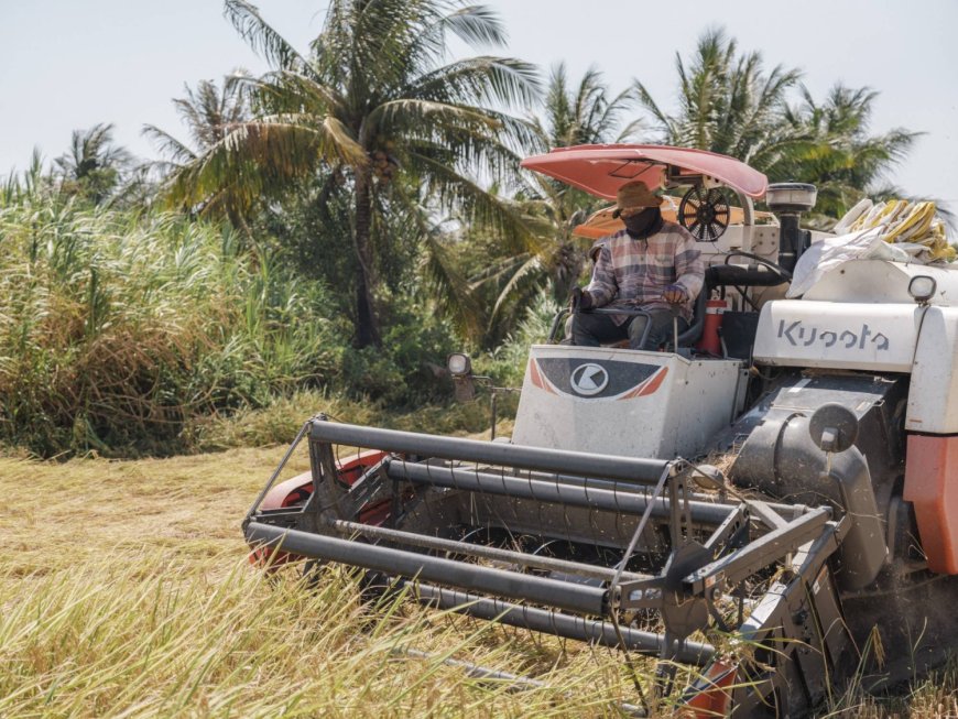 Fuel shortages from Iran war threaten Asia’s biggest food staple