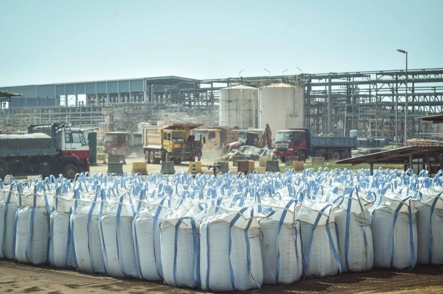 Delicate extraction: Malaysia offers rare earths alternative to China