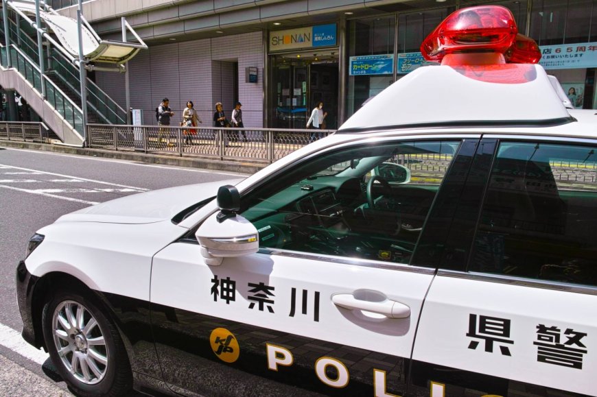 Two ex-convicts arrested over Yokohama home invasion robbery