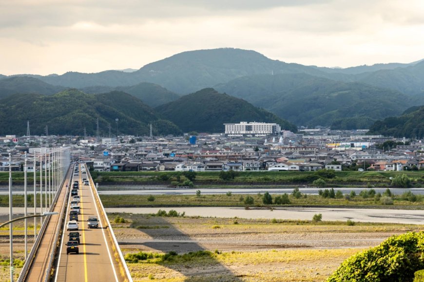 Record 8,196 in Japan serve as 'community reactivators'