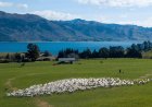 Court case challenges New Zealand's 'magical thinking' climate plans