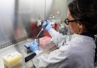 Risk of hantavirus transmitting between humans is low, health ministry says