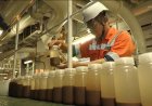 Japan tackles challenges of seafloor rare earth mining, eyeing economic security