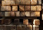 Japan group launches online timber market