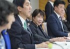 Takaichi considering new quota for growth investment